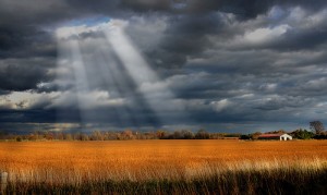 a5487-wisdom2bfrom2babove