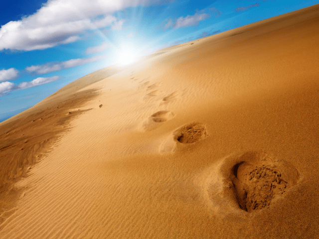 footprints in the desert 2