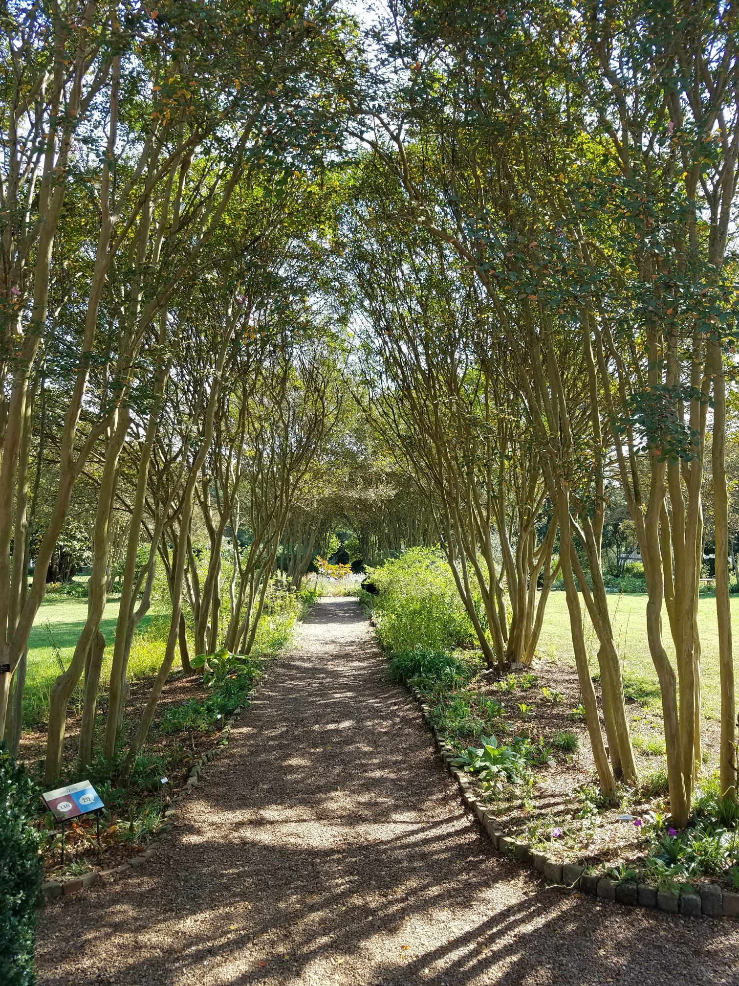 20170925_105157_resized