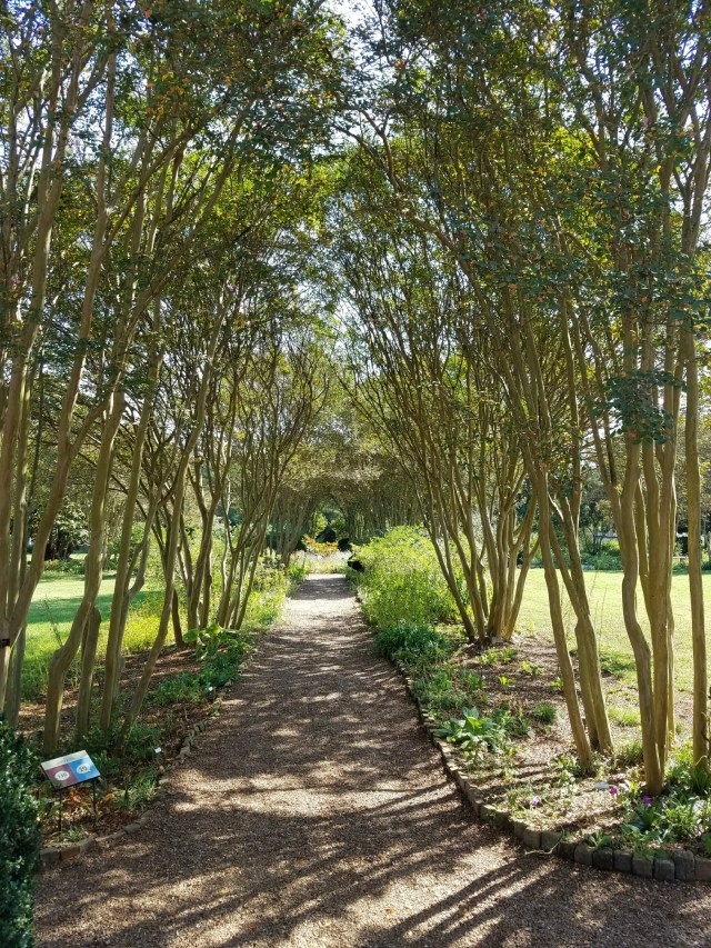 20170925_105157_resized