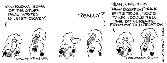 AgnusDay new creation