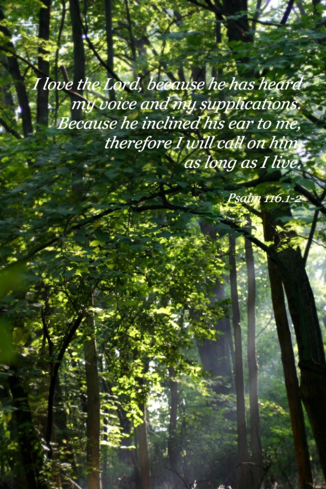 psalm 116.1-2 pic