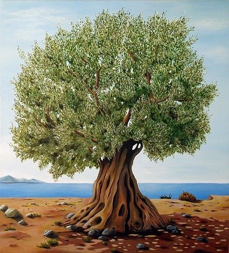 olive tree